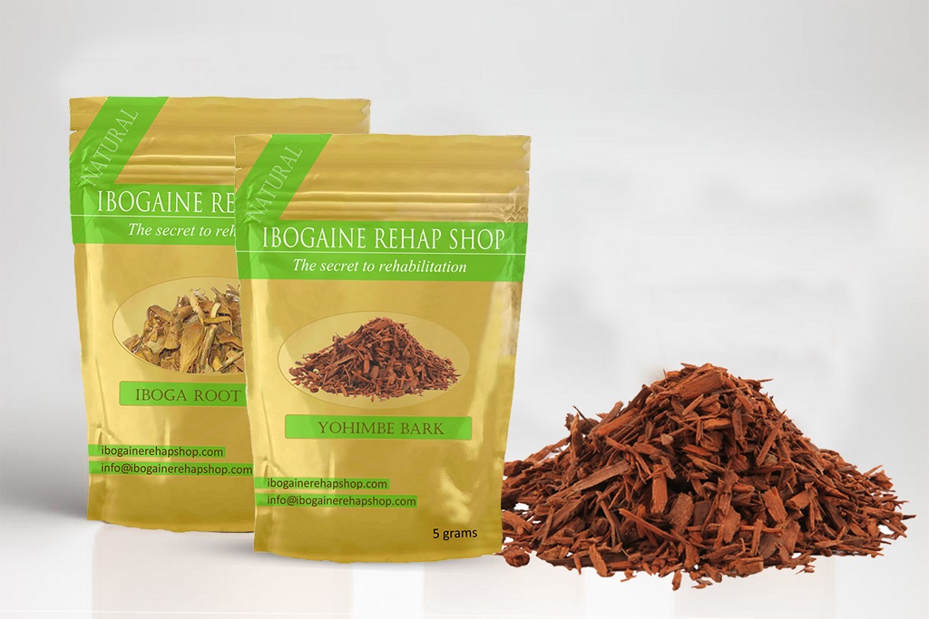 Can Ibogaine Reduce Cravings?
